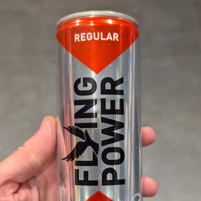 Flying Power Energy Regular 250 ml